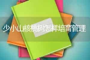 少小山核桃树怎样培育管理