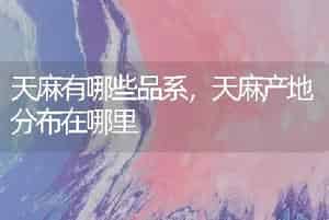 天麻有哪些品系，天麻产地分布在哪里