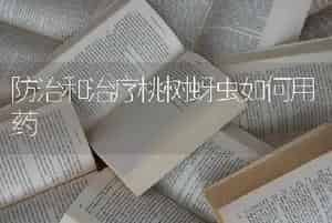 防治和治疗桃树蚜虫如何用药