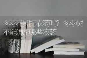 冬枣花期打农药吗？冬枣树不能喷施哪些农药