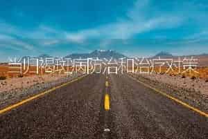 当归褐斑病防治和治疗对策