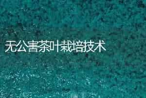 无公害茶叶栽培技术