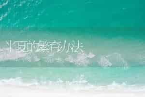 半夏的繁育办法