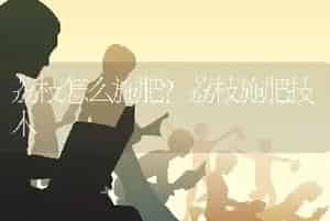 荔枝怎么施肥？荔枝施肥技术
