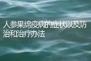 人参果绵疫病的症状以及防治和治疗办法