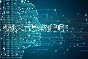 樱桃采后怎样施肥呢？
