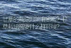 甘草的栽培对策有哪些？甘草栽培需要什么样环境？
