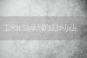 玉米田锄草剂的选择办法