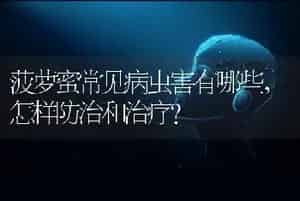 菠萝蜜常见病虫害有哪些，怎样防治和治疗？