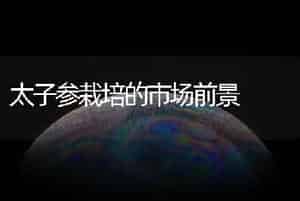 太子参栽培的市场前景