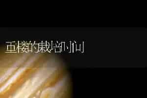 重楼的栽培时间