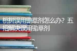 桃树误用锄草剂怎么办？五招解决误用锄草剂