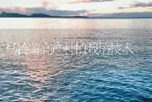 马铃薯高产种植栽培技术