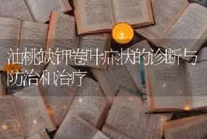 油桃缺钾卷叶症状的诊断与防治和治疗