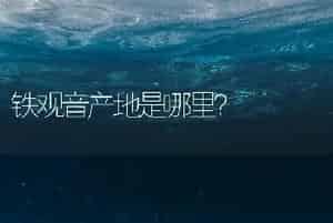 铁观音产地是哪里？