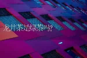 龙井茶是绿茶吗？