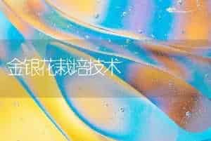 金银花栽培技术