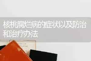 核桃腐烂病的症状以及防治和治疗办法