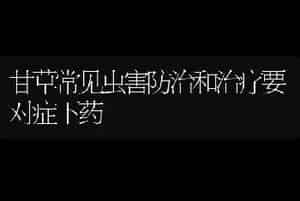 甘草常见虫害防治和治疗要对症下药