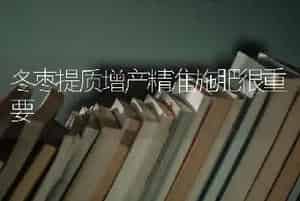 冬枣提质增产精准施肥很重要