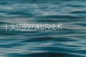 十大功劳的栽培技术