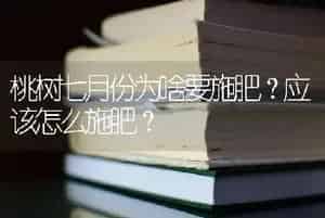 桃树七月份为啥要施肥？应该怎么施肥？