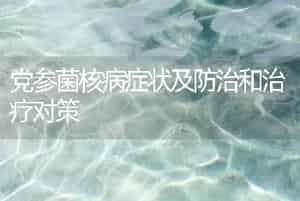 党参菌核病症状及防治和治疗对策
