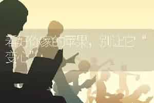 荔枝施肥有机肥很关键