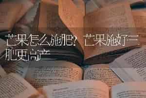芒果怎么施肥？芒果施好三肥更高产