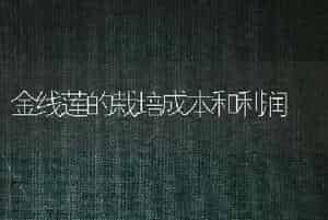 金线莲的栽培成本和利润