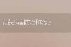 黄芪病害防治和治疗