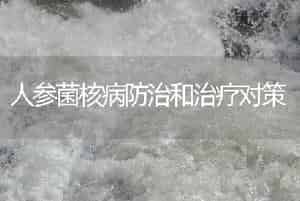 人参菌核病防治和治疗对策