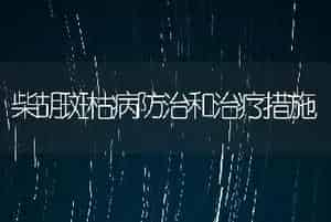 柴胡斑枯病防治和治疗措施