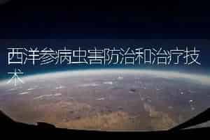 西洋参病虫害防治和治疗技术