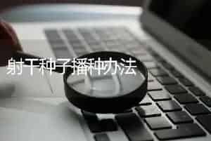 射干种子播种办法