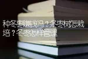 种冬枣赚钱吗？冬枣树怎栽培？冬枣怎样管理