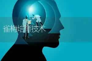 淫羊藿的栽培技术