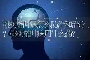 桃树缩叶病怎么防治和治疗？桃树缩叶病用什么药？