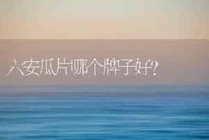 六安瓜片哪个牌子好？