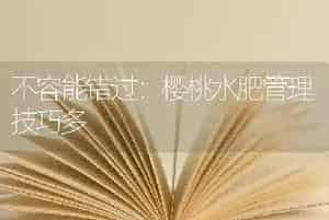 三七是田七吗？