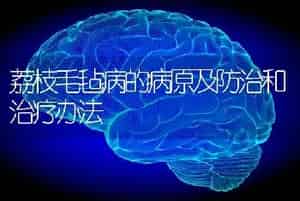 荔枝毛毡病的病原及防治和治疗办法