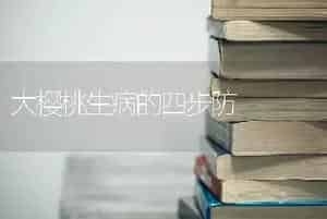 大樱桃生病的四步防