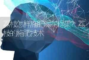 荔枝怎样施肥保花保果？荔枝的施肥技术