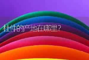 杜仲的产地在哪里？