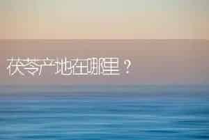 茯苓产地在哪里？