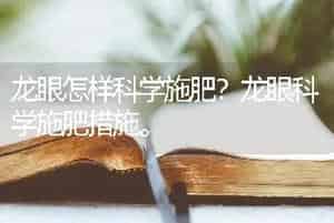 龙眼怎样科学施肥？龙眼科学施肥措施。