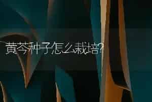 黄芩种子怎么栽培？