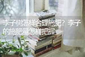 人参立枯病农药治理办法总结