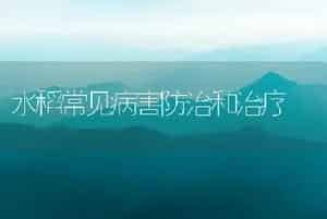 水稻常见病害防治和治疗