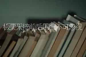 板栗采摘前后用肥不可忽视